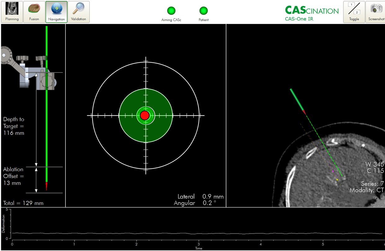 CAScination_cases_12_2018_01